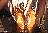 Radhastami Bathing Ceremony